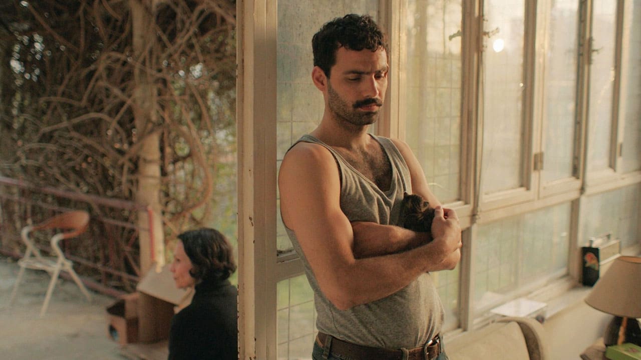 Greek Film Expo 2025, Wishbone