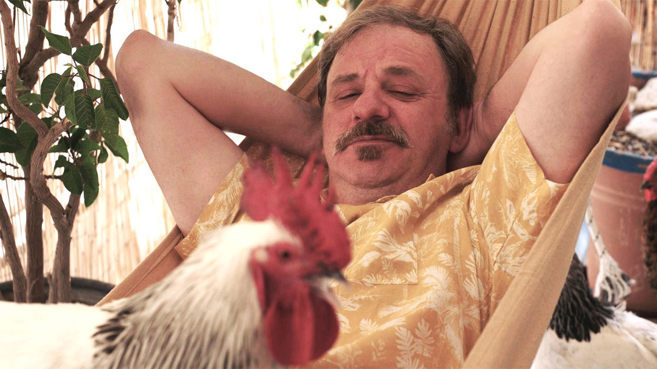 rooster-v2 Greek Film Expo 2026, Rooster